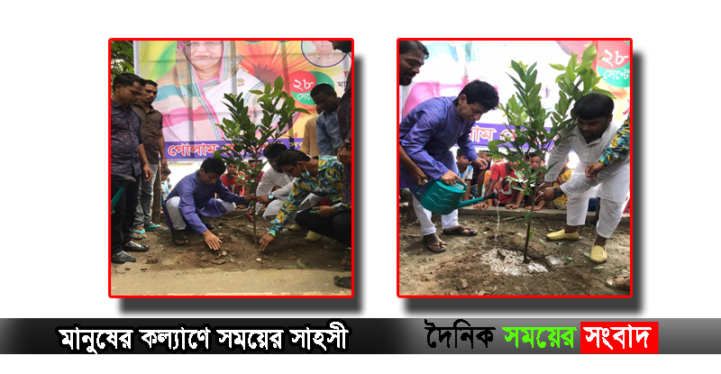 নিউজ খবর