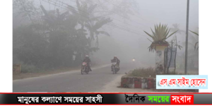 তেতুলিয়া