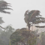 image-303672-1773546454bdjournal