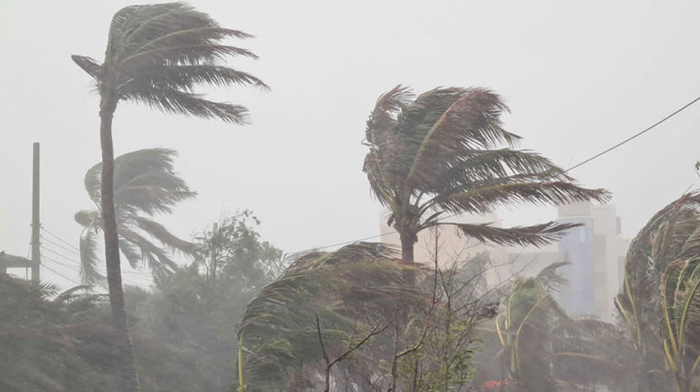 image-303672-1773546454bdjournal