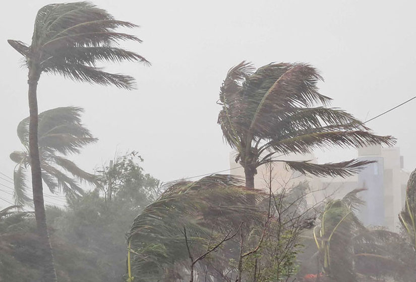 image-303672-1773546454bdjournal