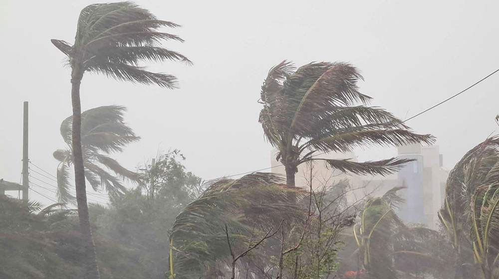 image-303672-1773546454bdjournal